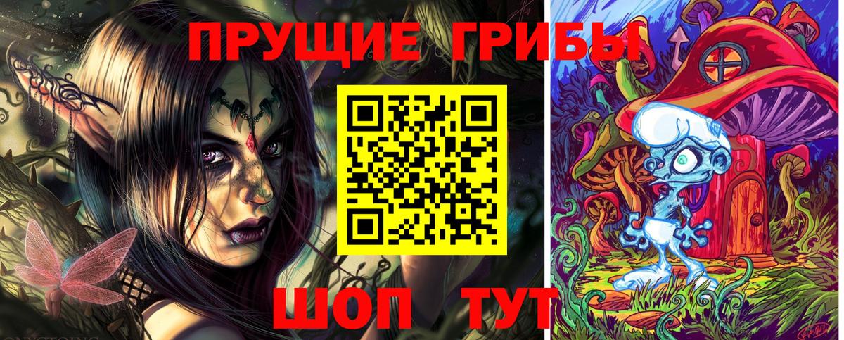 Галлюциногенные грибы GOLDEN TEACHER  Вход с VPN  как найти   Гатчина 