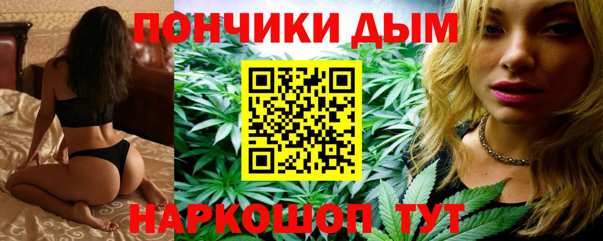 Каннабис тримм  Марихуана LSD WEED  Гатчина  Бошки Шишки планчик  Вход с VPN  Конопля MAZAR 